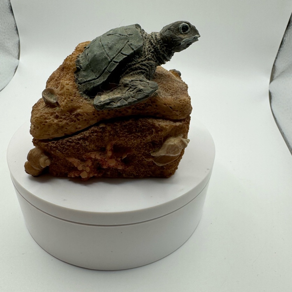 Turtle Box - Picture 3 of 6